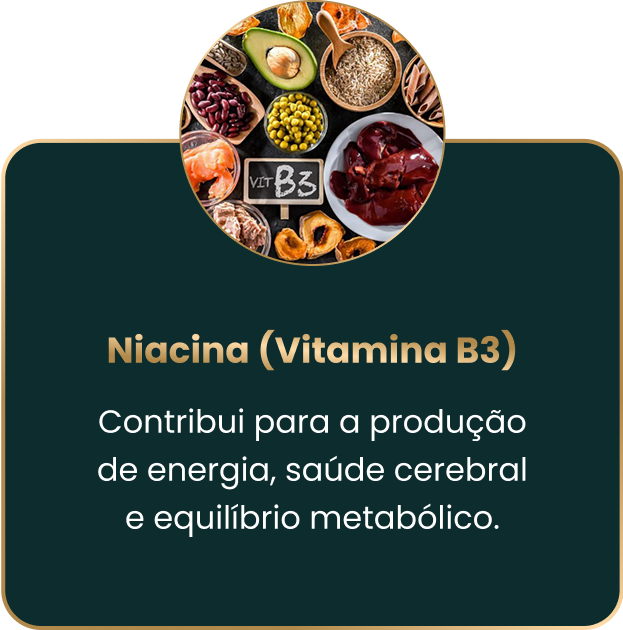 b3.webp