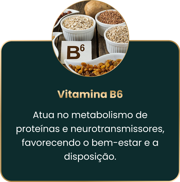 b6.webp